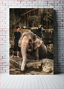 Πίνακας, Man with Elephant Άνδρας με ελέφαντα