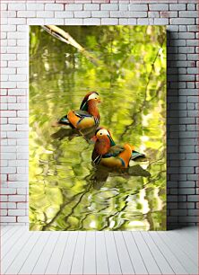 Πίνακας, Mandarin Ducks on a Tranquil Pond Πάπιες Mandarin σε μια ήρεμη λίμνη