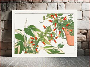 Πίνακας, Maranta & manettia flower, Japanese woodblock art