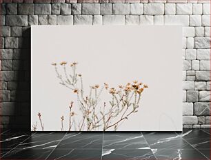 Πίνακας, Minimalist Flower Photography Μινιμαλιστική Φωτογραφία λουλουδιών