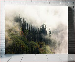 Πίνακας, Misty Forest Misty Forest