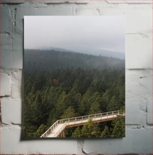 Πίνακας, Misty Forest with Wooden Pathway Misty Forest with Wooden Pathway