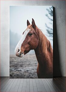 Πίνακας, Misty Horse in the Morning Misty Horse In the Morning