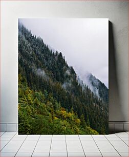 Πίνακας, Misty Mountain Forest Misty Mountain Forest