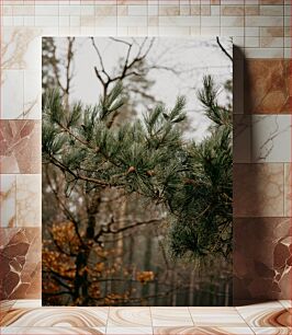 Πίνακας, Misty Pine Forest Misty Pine Forest