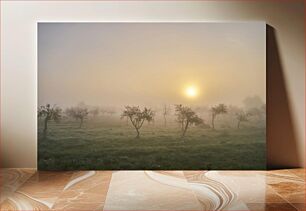 Πίνακας, Misty Sunrise in the Orchard Misty Sunrise in the Orchard