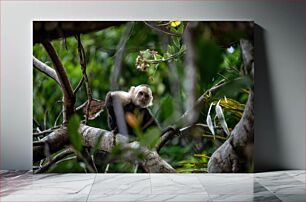 Πίνακας, Monkey in the Forest Μαϊμού στο δάσος