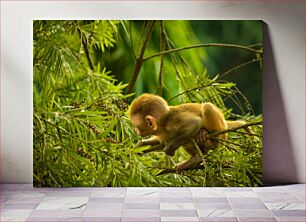 Πίνακας, Monkey in the Trees Μαϊμού στα δέντρα