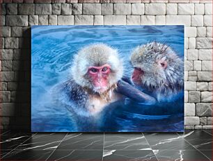 Πίνακας, Monkeys Bathing in Hot Spring Πίθηκοι που κάνουν μπάνιο στη θερμή πηγή