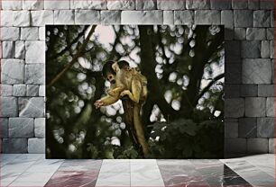 Πίνακας, Monkeys in the Trees Μαϊμούδες στα δέντρα