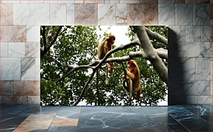 Πίνακας, Monkeys in Trees Πίθηκοι σε δέντρα
