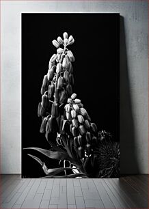 Πίνακας, Monochrome Floral Arrangement Μονόχρωμη Floral Arrangement