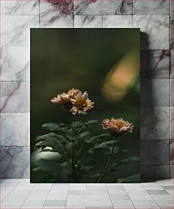 Πίνακας, Moody Chrysanthemums Moody Chrysanthemums