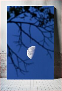 Πίνακας, Moon and Branches Σελήνη και κλαδιά