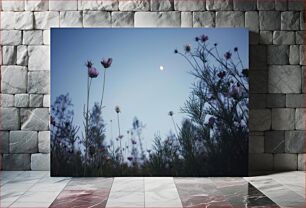 Πίνακας, Moonlit Flower Field Φεγγαρόφωτο Λουλούδι Πεδίο