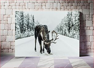 Πίνακας, Moose in a Snowy Landscape Άλκες σε ένα χιονισμένο τοπίο