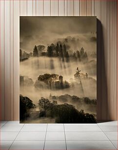 Πίνακας, Morning Mist Over Forest Πρωινή ομίχλη πάνω από το δάσος
