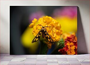 Πίνακας, Moth on Bright Flowers Σκόρος στα φωτεινά λουλούδια