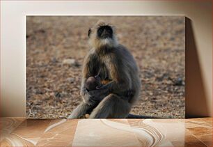 Πίνακας, Mother and Baby Monkey Μητέρα και μωρό μαϊμού