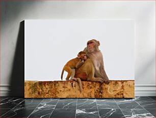 Πίνακας, Mother and Baby Monkey Μητέρα και μωρό μαϊμού