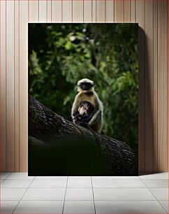 Πίνακας, Mother and Baby Monkey on Tree Μητέρα και μωρό μαϊμού στο δέντρο