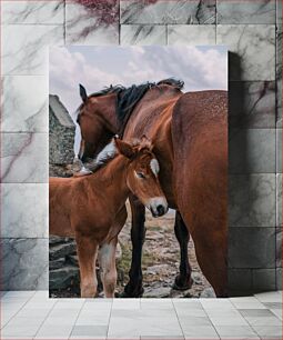 Πίνακας, Mother and Foal Μάνα και Πουλάρι