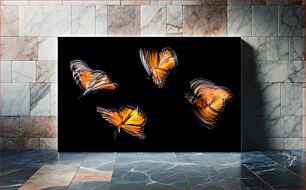 Πίνακας, Motion Blur Butterflies Motion Blur Butterflies