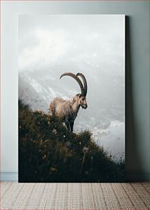 Πίνακας, Mountain Goat in Nature Ορεινή Κατσίκα στη Φύση