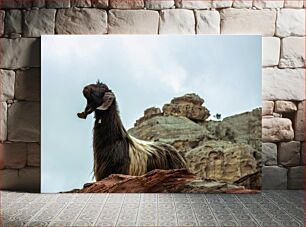 Πίνακας, Mountain Goat in Rocky Terrain Ορεινή Κατσίκα σε Βραχώδη Έδαφος