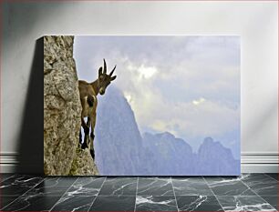 Πίνακας, Mountain Goat on a Rocky Cliff Ορεινή κατσίκα σε βραχώδη βράχο