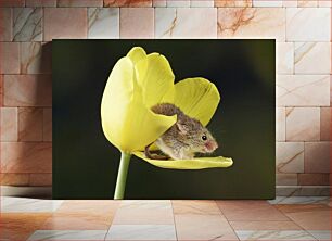 Πίνακας, Mouse in a Tulip Ποντίκι σε τουλίπα