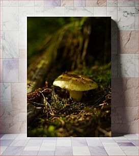 Πίνακας, Mushroom in the Forest Μανιτάρι στο Δάσος