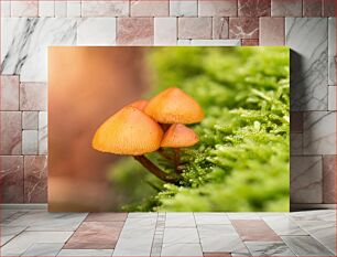 Πίνακας, Mushrooms in the Forest Μανιτάρια στο δάσος