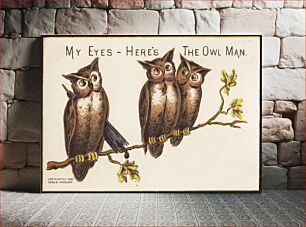 Πίνακας, My eyes - here's the owl man