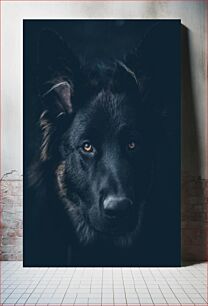 Πίνακας, Mysterious Canine Portrait Μυστηριώδες πορτρέτο σκύλου