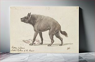 Πίνακας, Naked Hyaena of the Deserts of Nubia by Charles Hamilton Smith