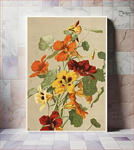 Πίνακας, Nasturtiums by Ellen Thayer Fisher