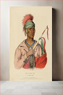 Πίνακας, NE-O-MON-NE, AN IOWAY CHIEF, from History of the Indian Tribes of North America