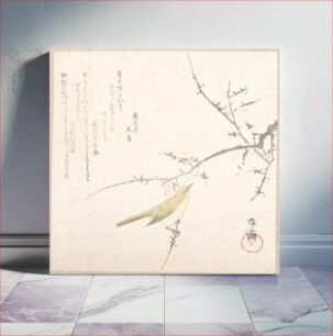 Πίνακας, New Moon; Nightingale on a Plum Branch by Ryūryūkyo Shinsai