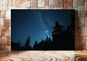 Πίνακας, Night Sky over Forest Νυχτερινός ουρανός πάνω από το δάσος