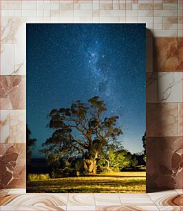 Πίνακας, Night Sky with Tree Νυχτερινός ουρανός με δέντρο