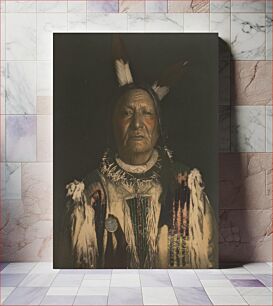 Πίνακας, Not Afraid of the Pawnee--Yanktonai Sioux Chief, De Lancey Gill