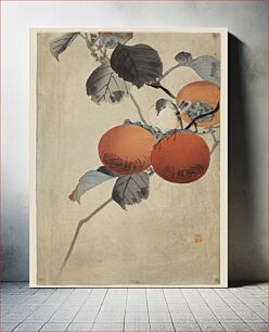 Πίνακας, Nuthatcher atop Persimmons (ca. 1910) by Ohara Koson