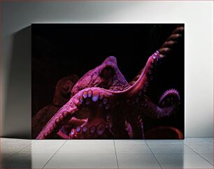 Πίνακας, Octopus in the Dark Χταπόδι στο σκοτάδι