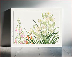 Πίνακας, Ornithogalum flower woodblock painting