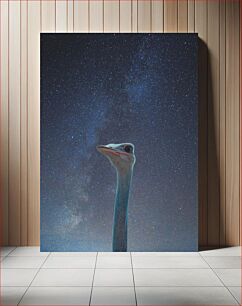 Πίνακας, Ostrich Gazing into the Stars Στρουθοκάμηλος που κοιτάζει στα αστέρια