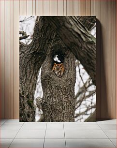 Πίνακας, Owl in a Tree Hollow Κουκουβάγια σε μια κοιλότητα δέντρου