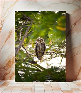 Πίνακας, Owl in the Forest Κουκουβάγια στο δάσος