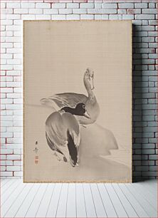 Πίνακας, Pair of Ducks by Kawabata Gyokushō