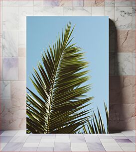 Πίνακας, Palm Leaf in Blue Sky Φύλλο φοίνικα στο γαλάζιο του ουρανού